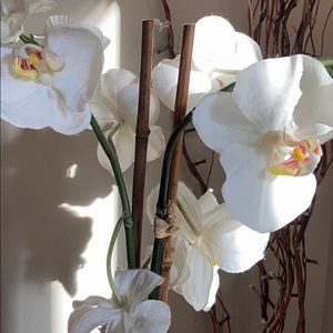 Meet your Posher, Paola